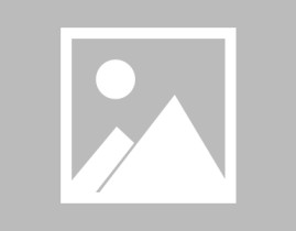 街头篮球永久装饰最高加几wta官网中文官方网站2024世界职业拳击手排名